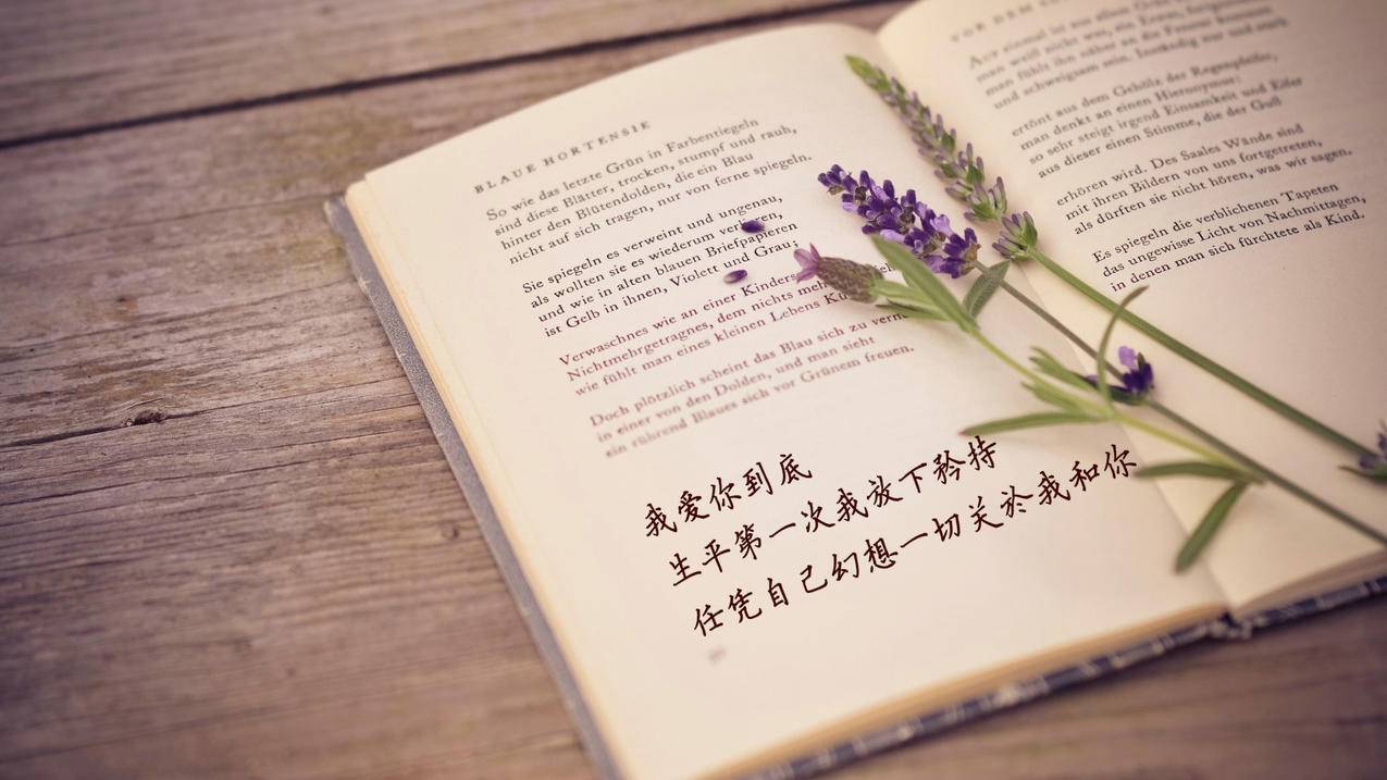 免费名片赞1000领取网站|qq秒赞永久网站免费|永久qq会员卡盟网站|DY业务平台超低价平台自助下单